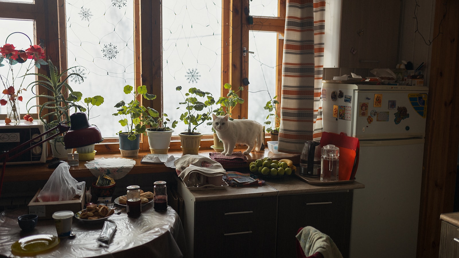 Готовые Обеды с Доставкой в Москве — Экономьте Время и Наслаждайтесь Вкусом